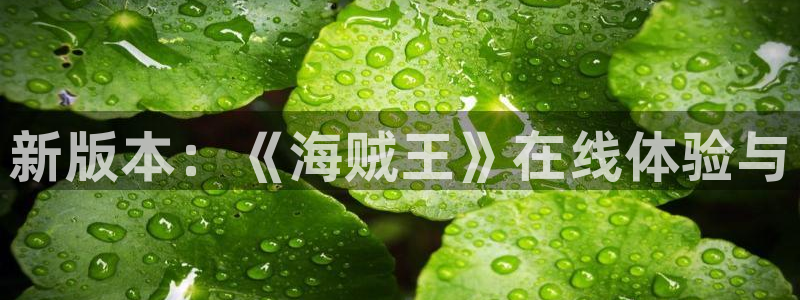 age樱花动漫：新版本：《海贼王》在线体验与