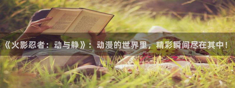 age动漫官网版入口：《火影忍者：动与静》：动漫的世界里，精彩瞬间尽在其中！