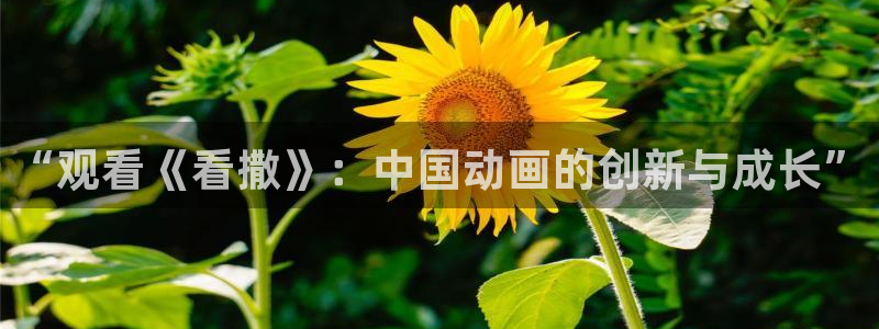 age动漫网：“观看《看撒》：中国动画的创新与成长”
