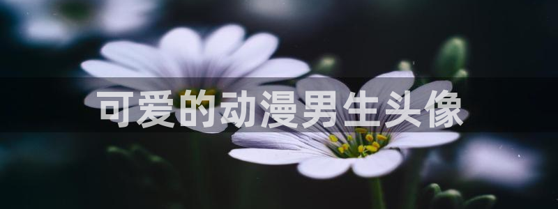 age动漫下载网：可爱的动漫男生头像