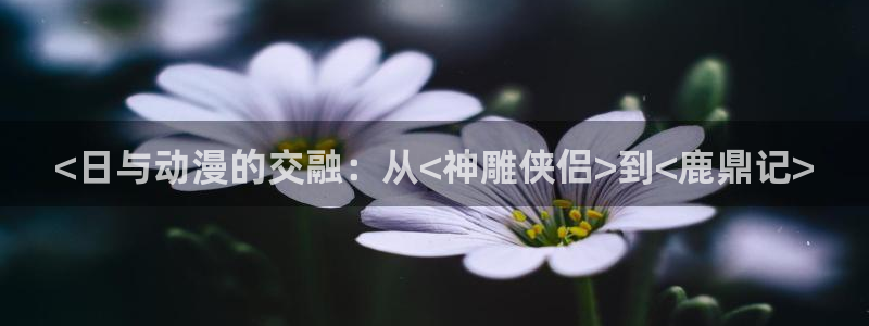 age动漫专注动漫的门户网站：<日与动漫的交融：从<神雕侠侣>到<鹿鼎记>