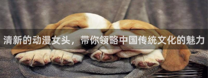 age动漫官网入口老版本：清新的动漫女头，带你领略中国传统文化的魅力