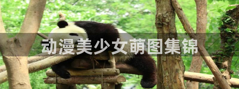 age动漫下载入口：动漫美少女萌图集锦