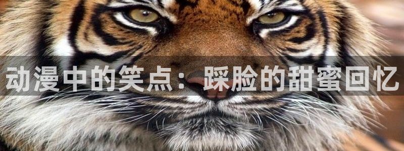 age动漫专注动漫的门户网站：动漫中的笑点：踩脸的甜蜜回忆