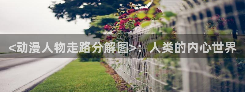 韩国漫画平台kakaopage：<动漫人物走路分解图>：人类的内心世界