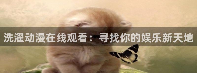 age动漫：洗濯动漫在线观看：寻找你的娱乐新天地