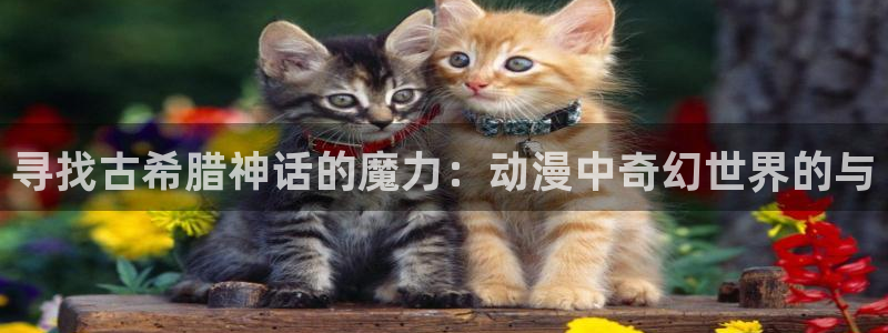 age动漫正版网