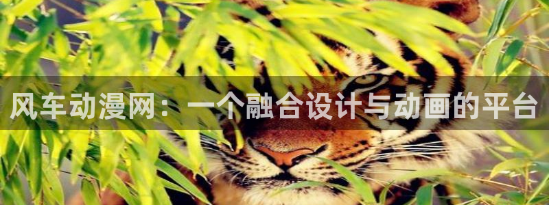 age动漫官网在线入口