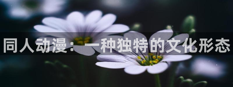 age动漫正版网