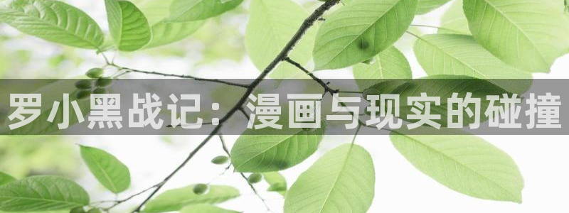 下载age动漫