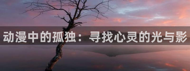 age动漫官网入口老版本
