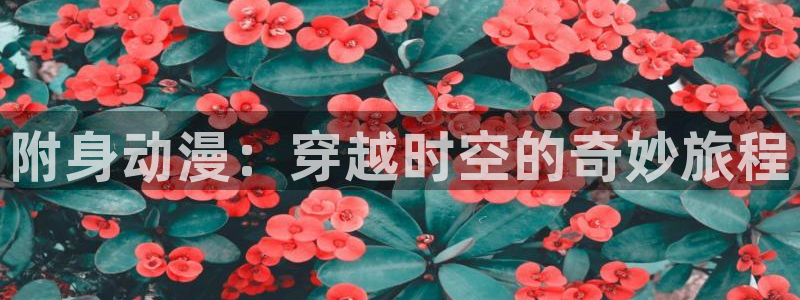 在线动画动漫下载age动漫