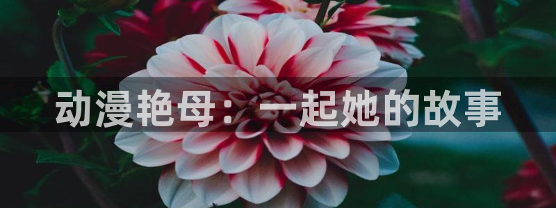 age动漫下载入口