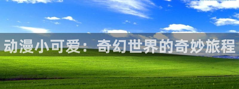 age动漫官网入口老版本