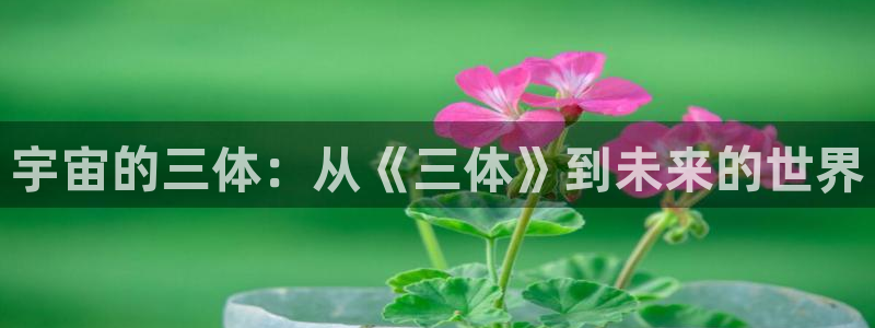 age动漫网下载