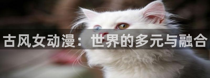 age动漫官网网址