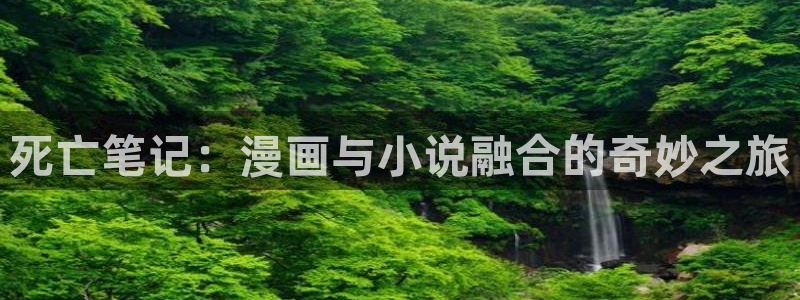 age动漫官网入口老版本