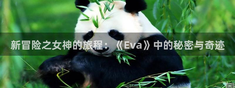 下载age动漫