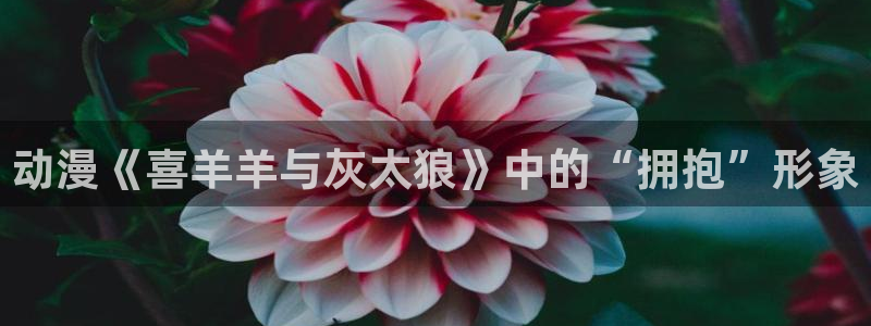 age动漫网下载