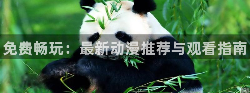 age动漫正版网：免费畅玩：最新动漫推荐与观看指南