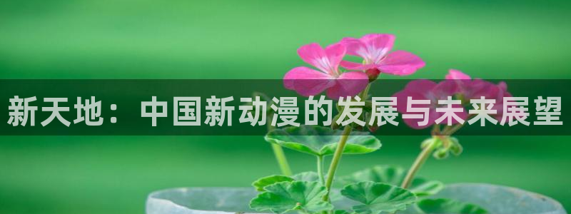 age樱花动漫：新天地：中国新动漫的发展与未来展望
