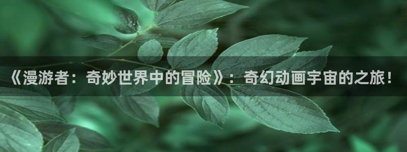 age动漫官网入口老版本：《漫游者：奇妙世界中的冒险》：奇幻动画宇宙的之旅！