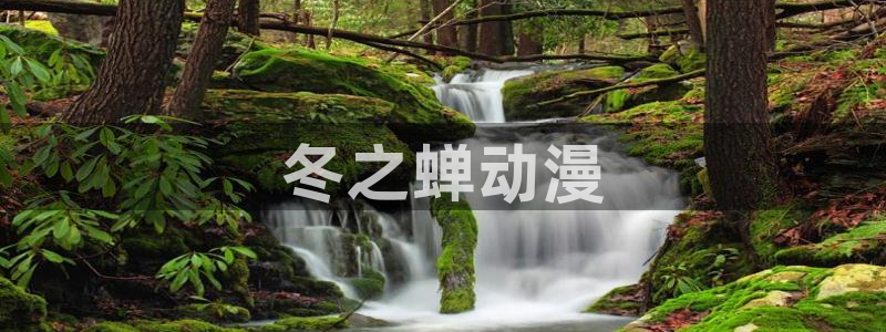 age动漫官网入口老版本：冬之蝉动漫