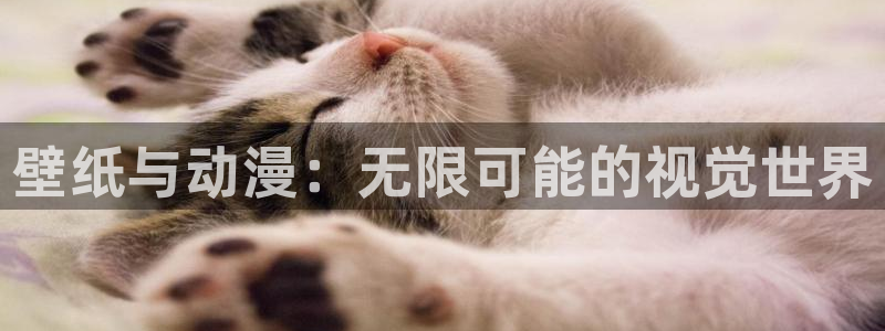 age动漫omofun：壁纸与动漫：无限可能的视觉世界